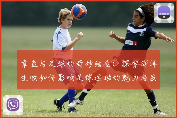 章鱼与足球的奇妙结合：探索海洋生物如何影响足球运动的魅力与发展