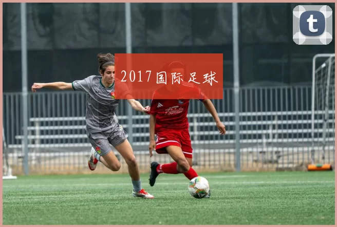 2017国际足球