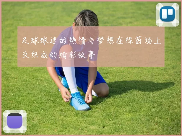 足球球迷的热情与梦想在绿茵场上交织成的精彩故事